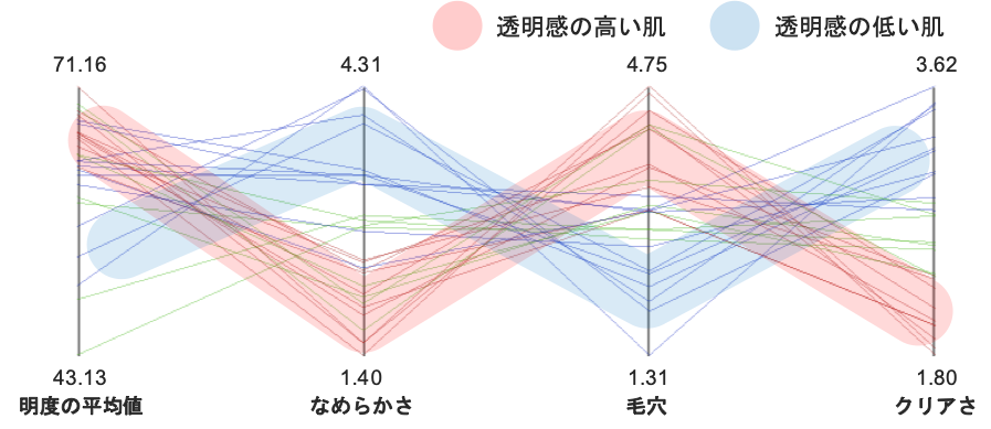 肌の透明感と相関の高い項目